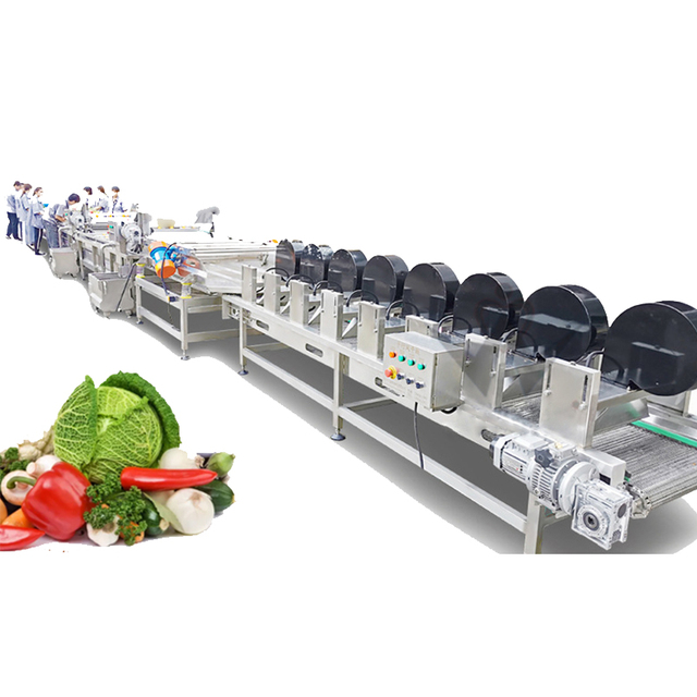 Yoursjoys Complete Automatic Multi-Voltage Fruit Vegetable Tomato Processing Line for Paste Sauce Juice Peeling Crushing