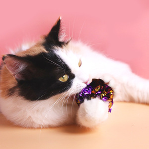 Lot de 5 balles en papier froissé avec son couineur, jouet à mâcher pour chatons, fournitures pour animaux de compagnie - Product Image 3