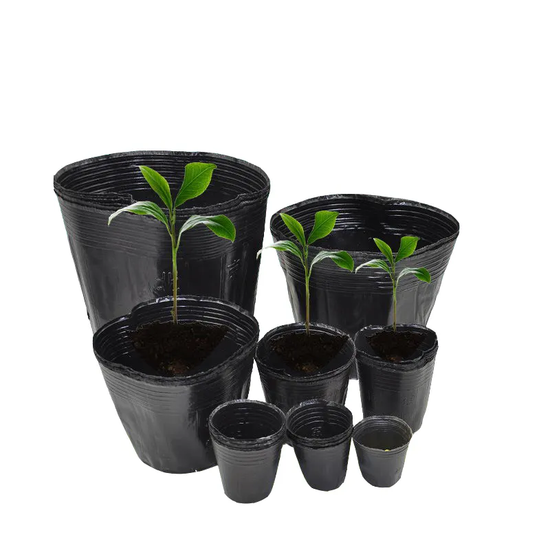 Wegwerp Goedkope Prijs Zwart Plastic Plant Bloem Kwekerij Groeien Potten Zachte Hand Voeding Landbouw Pot Voor Kas Tuin