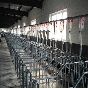 Sembrar caja de gestación de alta calidad embarazada cerdo caja de gestación en animales jaula para venta - Product Image 2