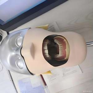 Modèle de tête de simulation dentaire - Phantom réglable <span class=keywords><strong>pour</strong></span> l'enseignement et la pratique dentaire - Product Image 5