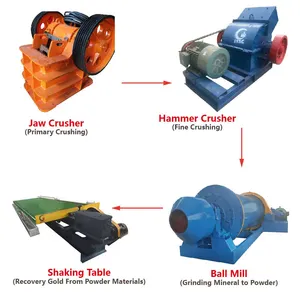 الصين المهنية Factoryy مجموعة كاملة الذهب الشعاب مصنع تكرير الذهب خام Beneficiation المعدات