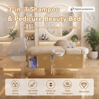 Fauteuil de pédicure multifonctionnel Turri pour spa capillaire et spa des pieds, avec circulation d'eau pour la thérapie capillaire, lit de salon pour petits salons