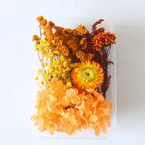 Box Packed Mixed Multiple Assorted Natural Dried Flowers for DIY Accessories Handmade Crafts Home Decoration