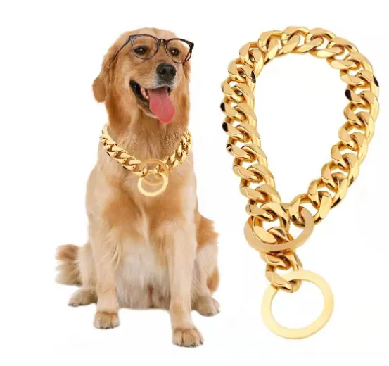 TTT Hot Sale Customized Processing Stainless Steel P-Chain Gold Dog Training Collar Chain For Pet