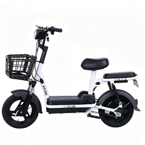 Vélo électrique de ville Y2-LP 14 pouces 48V 500W avec moteur arrière sans balais, batterie au lithium, suspension arrière et écran LCD électronique - Product Image 2