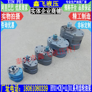 Bombas Hidráulicas de Baja Presión J01-5X10X3X8X15X12X20X25X35X50X70X100, Bomba de Aceite para Engranajes de Máquina Rectificadora - Product Image 1