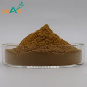 Lifecare Supply High Quality Cassia Seed Extract Semen Cassiae Extract Powder