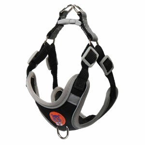 Harnais pour chien réglable avec laisse rétractable, harnais de promenade pour animaux de compagnie à ajustement rapide pour chiens de petite, moyenne et grande taille - Product Image 1