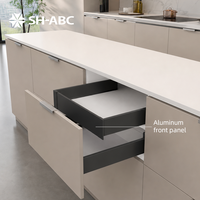 Boîte à tiroirs double à extension complète en acier fin avec fermeture amortie pour cuisine, chambre et salle de bain