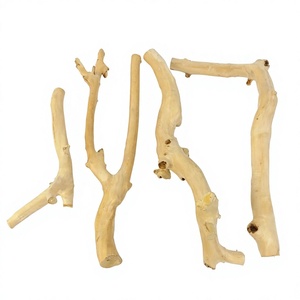 Natural Wood Branches For Reptile Habitat Decorations Eco Friendly Pet Ornament Set Made in Vietnam - Product Image 1