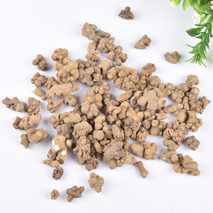 <span class=keywords><strong>Yan</strong></span> Hu Suo all'Ingrosso, Materiali Cinesi di Alta Qualità, Varietà Comune per Fumigazione, Gamma Completa - Product Image 6