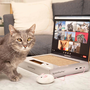 <b>Cat</b> Scratcher Laptop with Fluffy 'Mouse' Interactive Toys Pet <b>Scratching</b> <b>Board</b> - Product Image 5