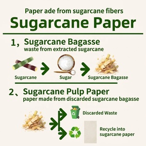 Papel Ecológico de Pulpa de Caña de Azúcar Blanco Alto/Blanco Estándar/Marrón Personalizado OEM - Product Image 6