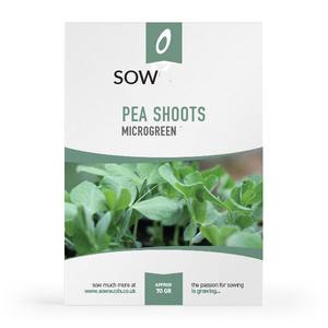 ภาชนะใส่กระดาษมะละกอสำหรับผู้หญิงชุดเก็บผักดีไซน์เทียมสำหรับปลูกต้นไม้ตั้งโต๊ะในสวนบ้าน-สภาพการใช้งาน - Product Image 5