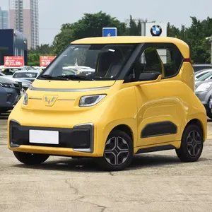 Hot Selling Cheap Price Fast Charging 2 Seat 2 Door Mini Electric Car Wuling Nano Pure Electric Household Ev New Energy Vehicles