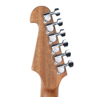 OEM Professional AC-SKY Portable Electric Guitar Stringed Instruments Guitarra Electrica Guitar Silent Acoustic Electric Guitar