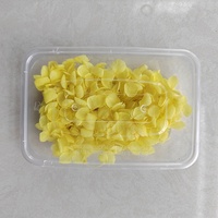 Grosir bunga hydrangea asli lilin aromaterapi bahan DIY bunga Pres kering untuk seni resin dan dekorasi kuku
