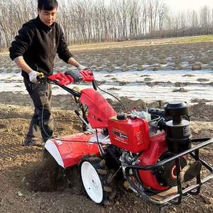 Penjualan terlaris 7.5HP bensin Mini striping mesin Motor Power Tiller <span class=keywords><strong>Cultivator</strong></span> untuk mesin pertanian peralatan petani - Product Image 3