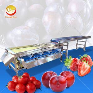 ORME Automatic Blueberry <b>Red</b> Date Mango Sorter Garlic Potato Onion Size Sort and Grade Machine - Product Image 1