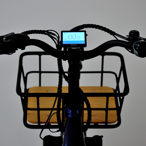 GEOBYKE Tricycle électrique à moteur central haute performance 250w, <span class=keywords><strong>3</strong></span> roues, vélo cargo électrique avec <span class=keywords><strong>Shimano</strong></span> <span class=keywords><strong>Nexus</strong></span> 7 <span class=keywords><strong>vitesses</strong></span> - Product Image 4