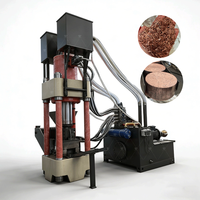 Presse à briquettes industrielle haute pression pour copeaux d'acier et de fer, machine à briquettes de ferraille métallique pour usine