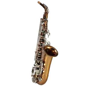 Muziekinstrumenten Hoge F # Eb Sleutel Gouden Lak Altsaxofoon RSA-9902s