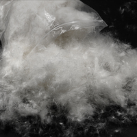 Norme américaine de haute qualité 90% duvet de canard blanc certifié RDS haute puissance de remplissage lavée pour vestes et oreillers en gros