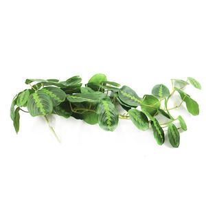 ใบ <span class=keywords><strong>Calathea</strong></span> สีเขียวยาว85ซม. แบบสัมผัสจริงสำหรับการตกแต่งดอกไม้ - Product Image 2