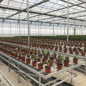 Single-Span Agricultural Greenhouse <b>Large</b> Film Cover Galvanized Steel Frame - Product Image 4