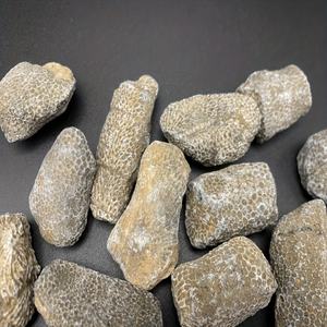 Cristales de Coral Pulidos al por Mayor para Decoración - Product Image 5