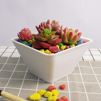 Vente en gros de pots à fleurs carrés écologiques de style farmhouse, créatifs, en PP blanc, pour plantes en pot de table, jardinières familiales 1-3L