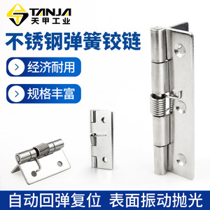 Bisagras de Resorte de Acero Inoxidable 304, Superficie Pulida, Bisagra para Muebles de Montaje en Superficie K185B, Retorno Automático, Diseño Industrial - Product Image 3