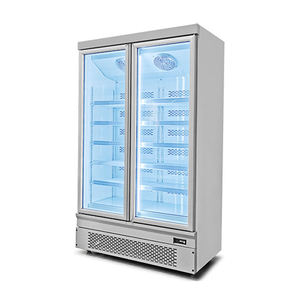 Congélateur commercial à 2 portes pour fruits de mer / pâtisseries / charcuterie, vitrine réfrigérée - Product Image 4