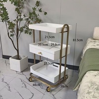 Chariot de beauté multifonctionnel pour salon de beauté, étagère mobile pour spa
