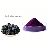 Poudre de Prune Noire Fine, Extrait de Fruit Séché par Pulvérisation, Ingrédient de Qualité Alimentaire pour Compléments Alimentaires et Boissons, Vente en Gros OEM