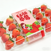 Boîte d'emballage en plastique transparente pour fraises, 9, 11, 15, 20, 24, 28 cellules, en PET recyclé, avec étiquette et doublure en mousse