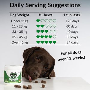 OEM/ODM Vet-Recommended Pet Calming Soft Chews Anti-Anxiety Pet Complément alimentaire pour chiens et chats Soulagement de la relaxation et du stress - Product Image 3