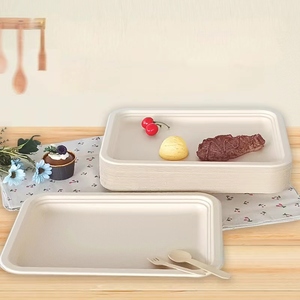 Tùy chỉnh 14 inch hình chữ nhật dùng một lần nướng khay phân hủy sinh học bã mía Phân compost vuông tấm nhựa - Product Image 6