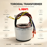 Transformateur toroïdal 250w 300w 12v 24v 36v 48v AUDIO Simple 220V AUTOTRANSFORMATEUR TOROIDAL LQ-290 LIQIN