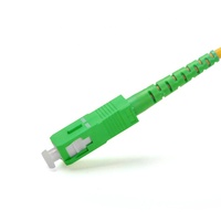 Cordon de brassage fibre optique SC APC Duplex Monomode SC/APC vers SC/APC 2 fibres Utilisation intérieure 2.0/3.0mm G652D 9/125m OS2 SM DX