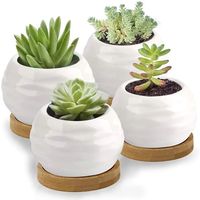 Mini Pots de fleurs en céramique avec plateau en bambou, Pot blanc brillant pour plantes succulentes, Cactus, jardinières avec trou, offre spéciale