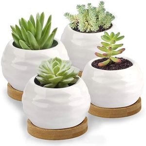 Macetas <span class=keywords><strong>de</strong></span> cerámica <span class=keywords><strong>de</strong></span> tamaño Mini con bandeja <span class=keywords><strong>de</strong></span> bambú, maceta blanca brillante para macetas <span class=keywords><strong>de</strong></span> <span class=keywords><strong>Cactus</strong></span> <span class=keywords><strong>suculentas</strong></span> con agujero, superventas - Product Image 1