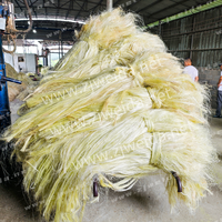 2025 nouvelle machine d'extraction de fibre de sisal/banane/chanvre/jute entièrement automatique, haute efficacité pour le traitement des matières premières textiles