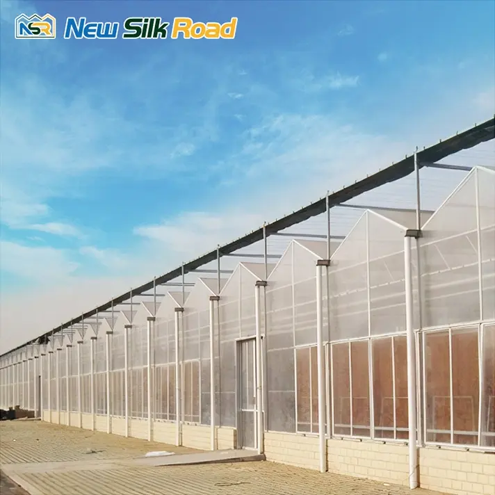 commercial low cost agricultural greenhouse sale hot house greenhouse polycarbonate sheet greenhouse for agro