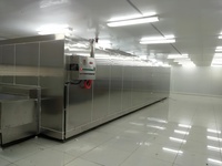 Congélateur tunnel IQF à froid continu par ammoniaque, machine de congélation IQF en acier inoxydable 304, -45°C, pour fruits de mer, viande, fruits et légumes