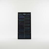 Module solaire transparent noir intégral 100W, panneau solaire mono IP68 avec boîtier de jonction séparé pour maison et camping-car, vente en gros