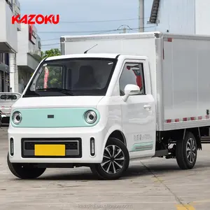 Surprise Price 2 Seat Solar Electric Mini Van 4x2 Delivery Truck Cargo Pickup Truck Home New Electric Vehicle Cars