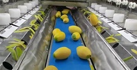 FENGXIANG FX-MG-16 buah mangga pepaya persik nanas Persimmon 16 kepala pir Nangka mesin pengupas kulit labu