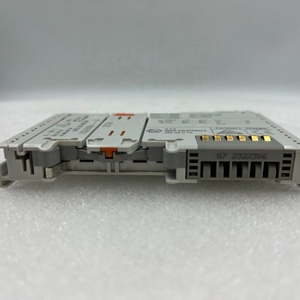 โมดูลอินพุตแบบอนาล็อก 2 ช่องสัญญาณ Wagoo 753-466 โมดูลดิจิตอล ขายดี - Product Image 2